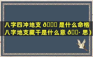 八字四冲地支 🐅 是什么命格（八字地支藏干是什么意 🌷 思）